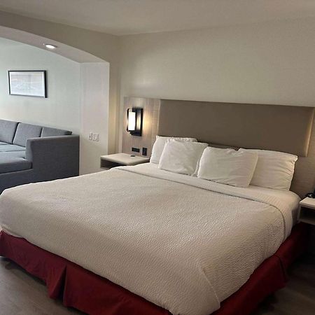 La Quinta Inn & Suites By Wyndham Albuquerque Midtown Exteriör bild