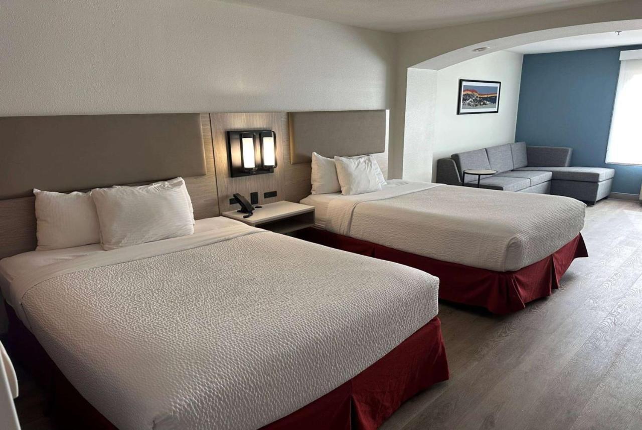 La Quinta Inn & Suites By Wyndham Albuquerque Midtown Exteriör bild